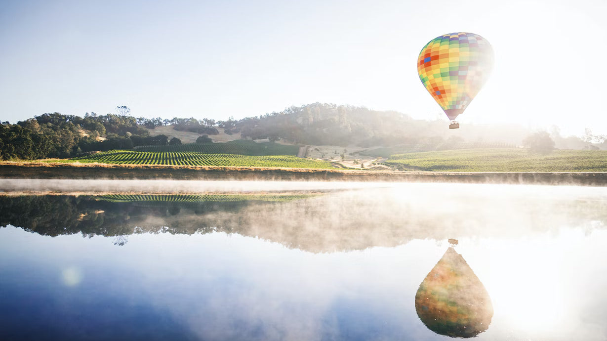 Discover the Best Wine Country, Experience California: Napa Valley