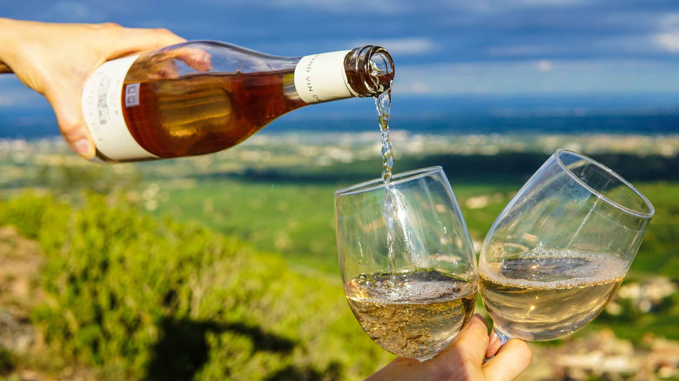 Learn to Taste Wine: Let the Wine in Your Glass Take You Around the World