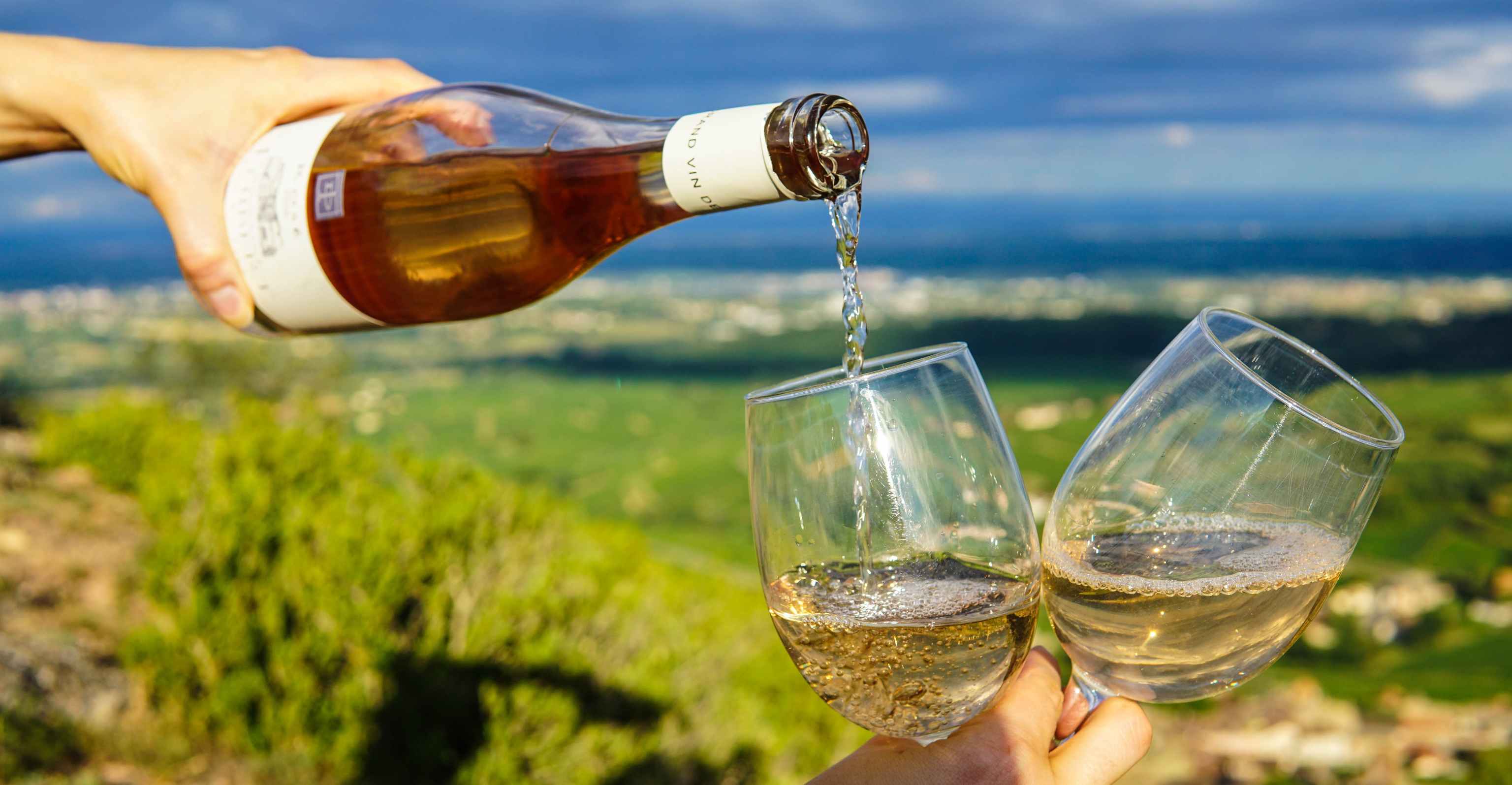 Learn to Taste Wine: Let the Wine in Your Glass Take You Around the World featured image