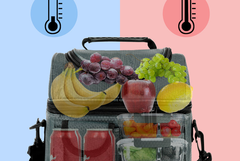 Tirrinia Lunch Tote Bag with Dual Compartment