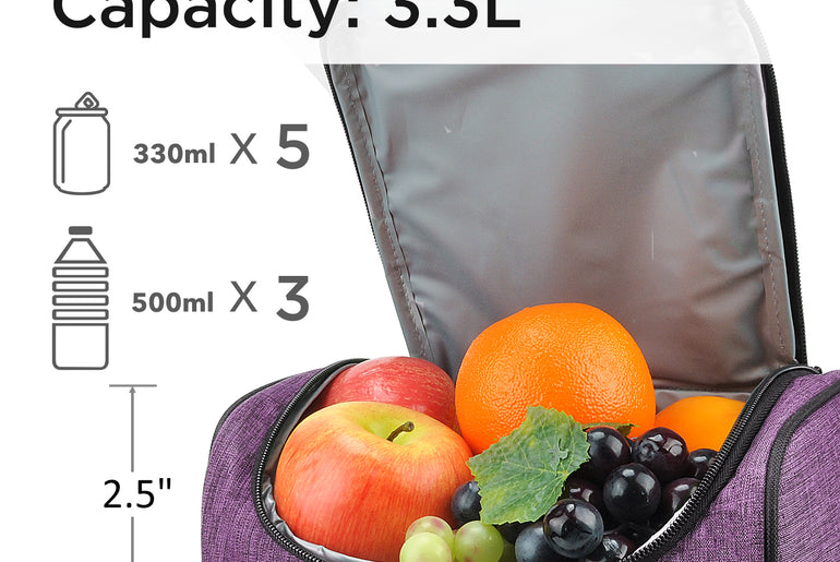 Tirrinia Lunch Tote Bag with Dual Compartment