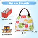 Tirrinia Small Insulated Lunch Cooler Bag for Kids size chart