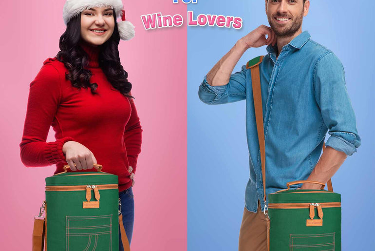 Tirrinia 4 Bottle Wine Cooler Bag for Dinner Party