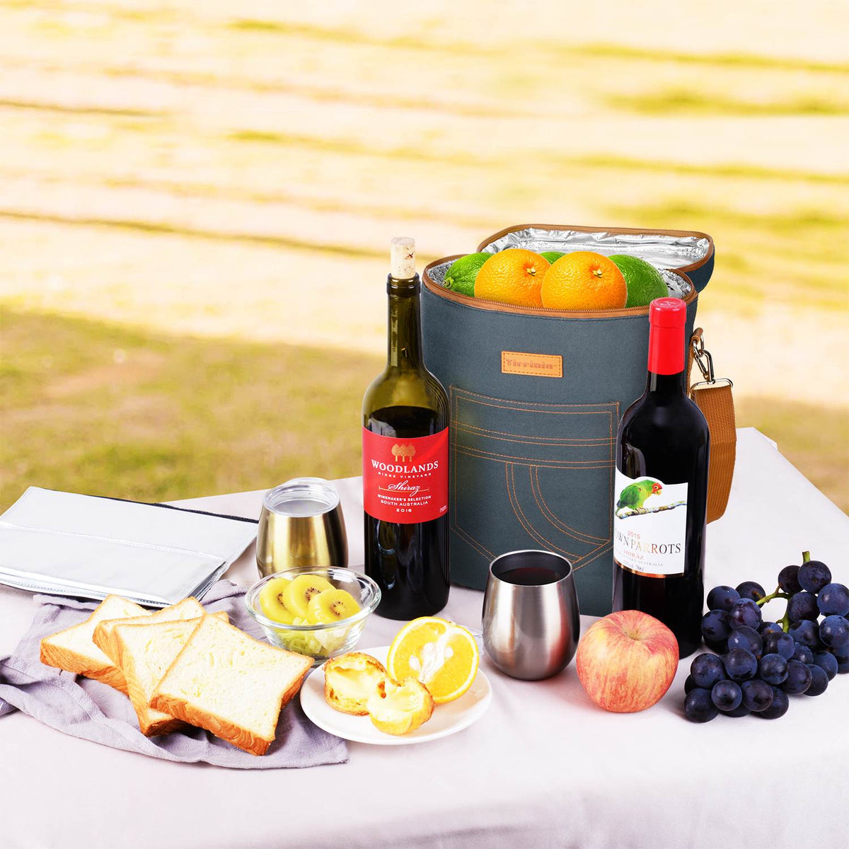 Tirrinia 4 Bottle Wine Cooler Bag for Dinner Party
