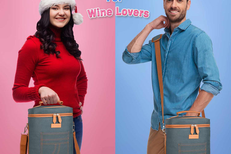 Tirrinia 4 Bottle Wine Cooler Bag for Dinner Party