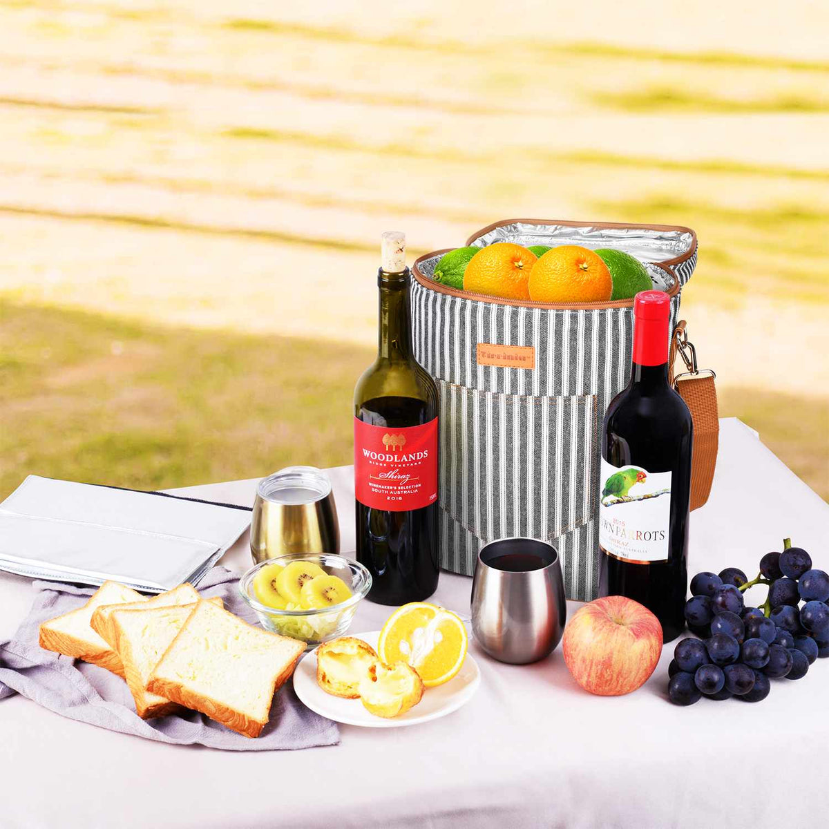 Tirrinia 4 Bottle Wine Cooler Bag for Dinner Party