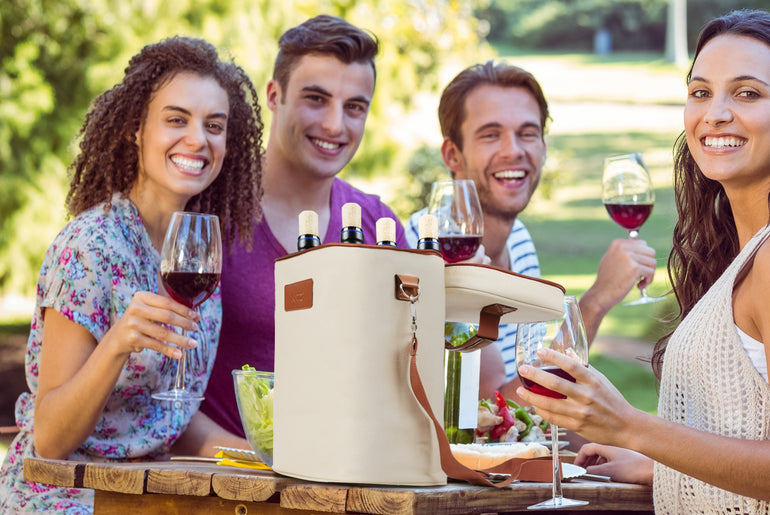 Tirrinia 4 Bottle Wine Cooler Tote Bag for Wine Travel