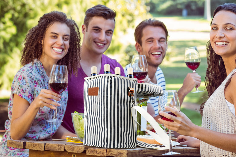Tirrinia 4 Bottle Wine Cooler Tote Bag for Wine Travel